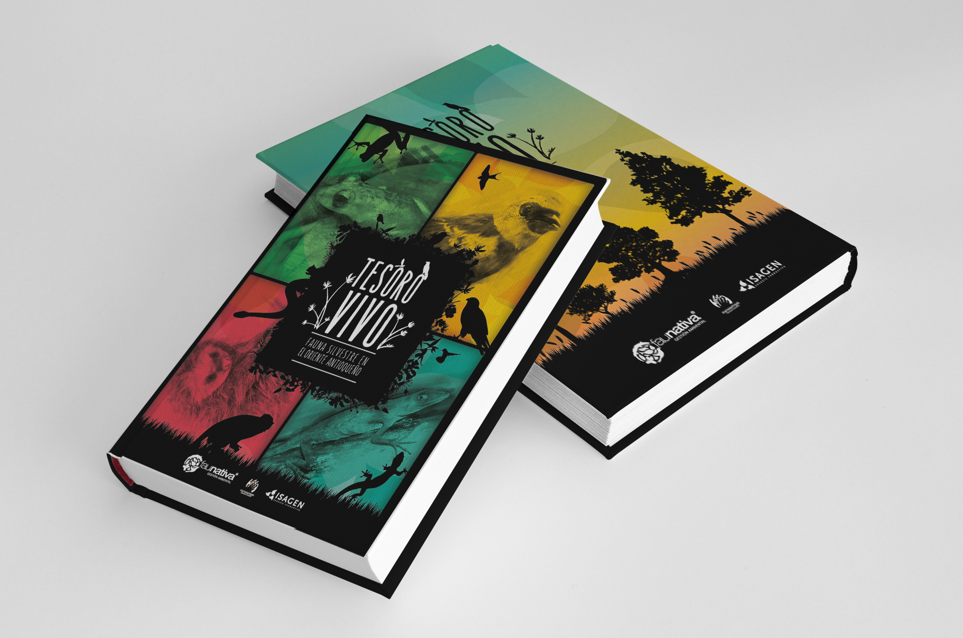 Tesoro Vivo - Vida Silvestre en el Oriente Antioqueño