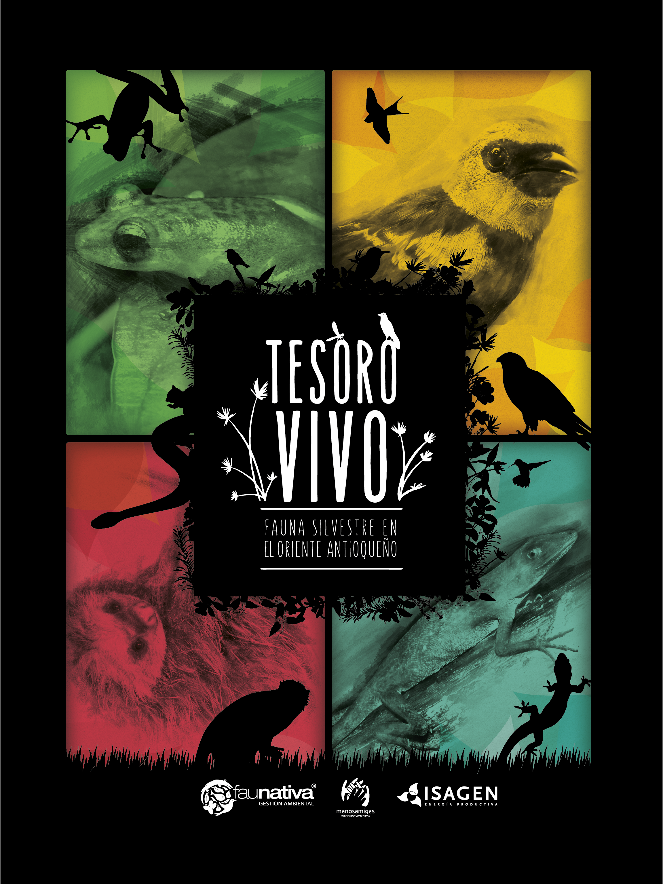 TESORO VIVO -  Vida Silvestre en el Oriente Antioqueño